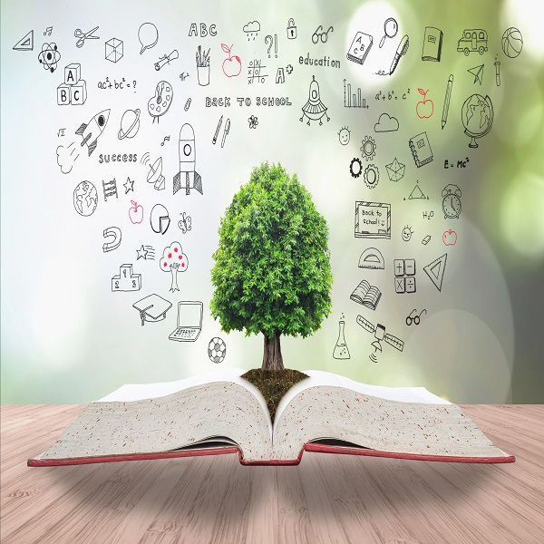 /OCP%20Module%201%20-%20Organisational%20Science%20&%20Theory