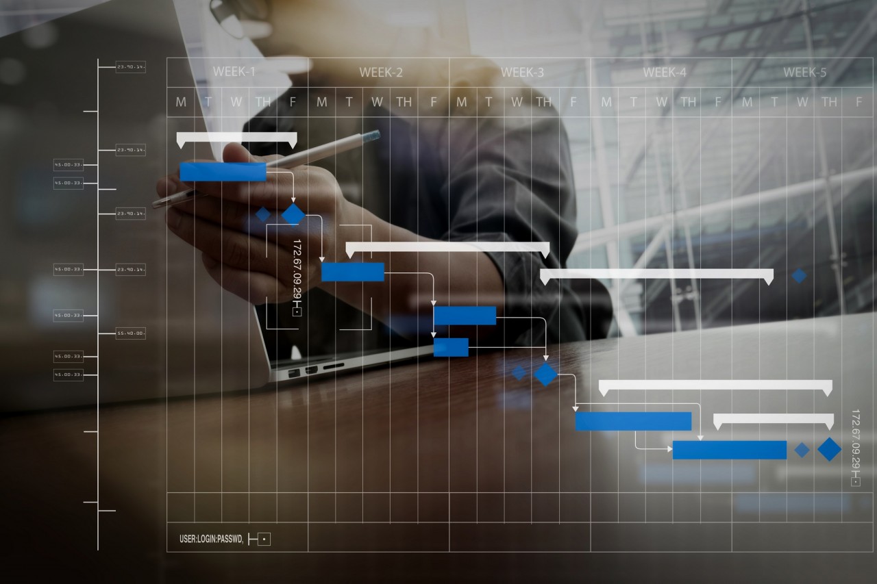 Work breakdown structure for strategic programs